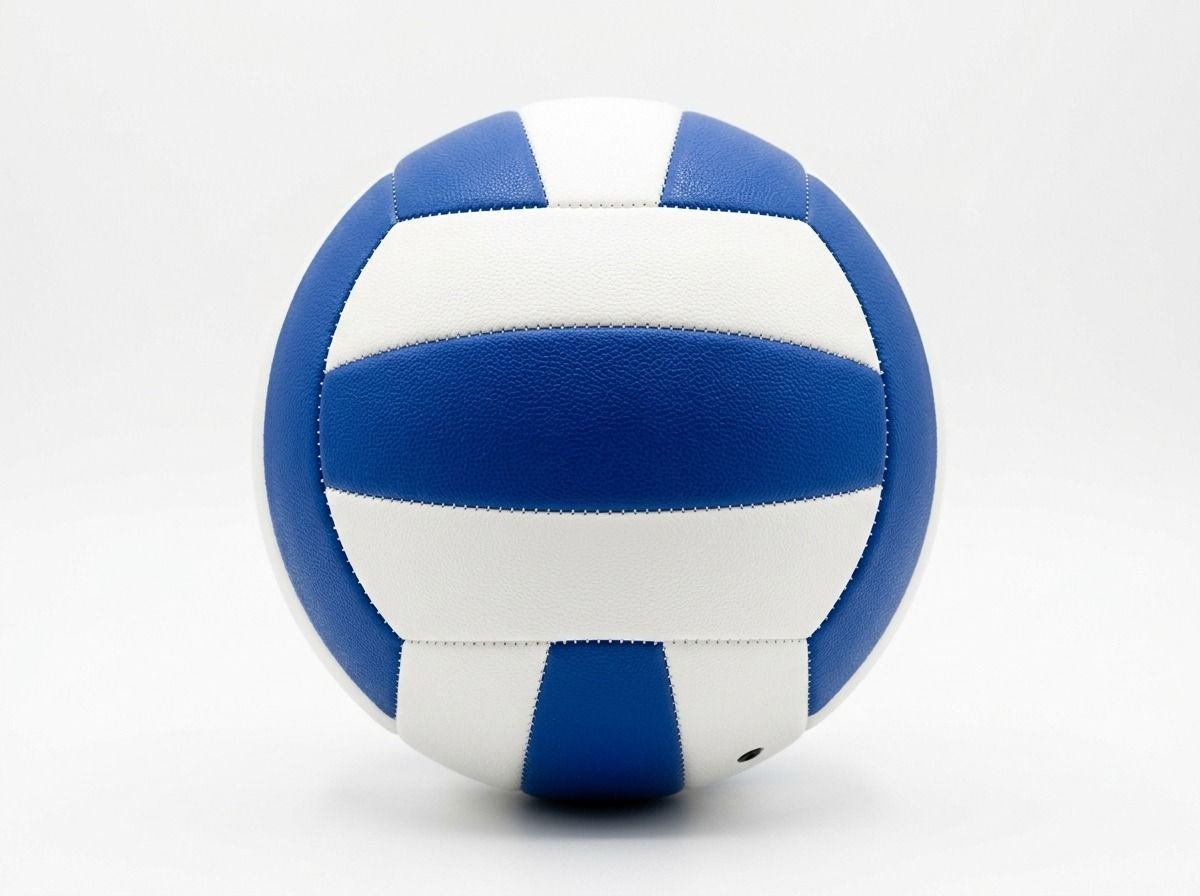 Custom Match Volleyballs